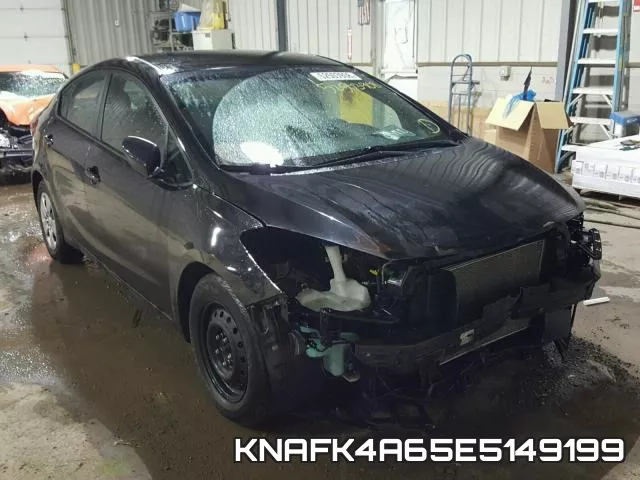 KNAFK4A65E5149199