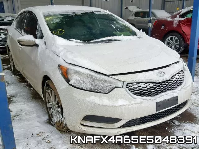 KNAFX4A65E5048391