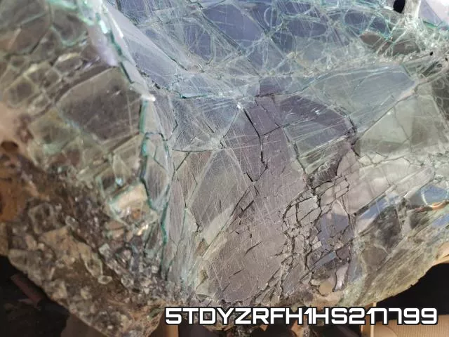 5TDYZRFH1HS217799_9.webp