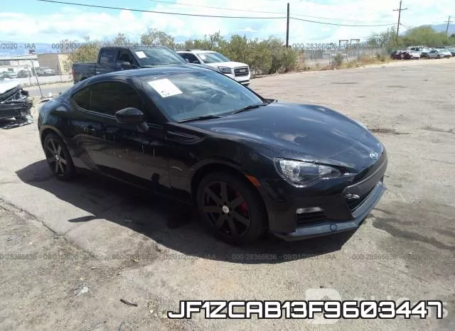 JF1ZCAB13F9603447