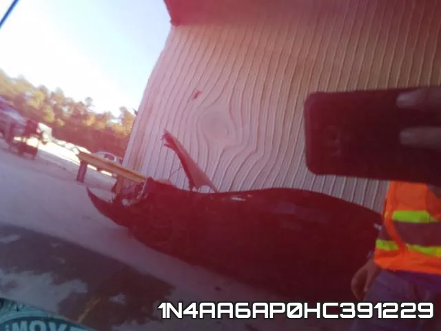 1N4AA6AP0HC391229