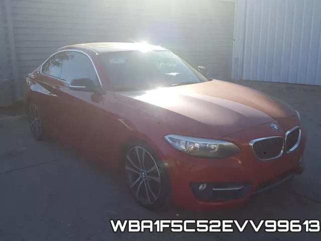 WBA1F5C52EVV99613