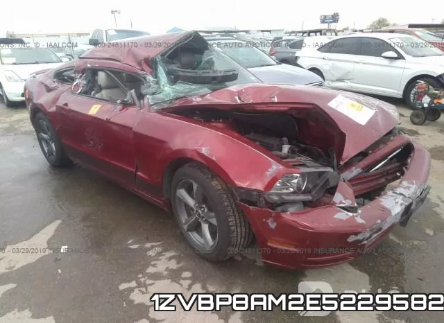1ZVBP8AM2E5229582