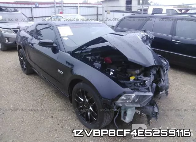 1ZVBP8CF4E5259116