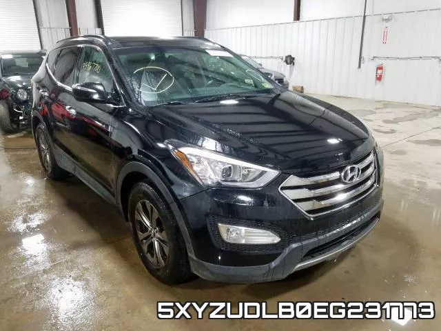 5XYZUDLB0EG231773