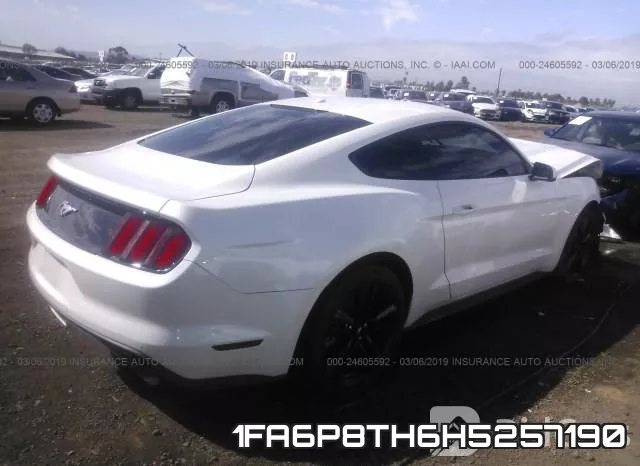 1FA6P8TH6H5257190_4.webp