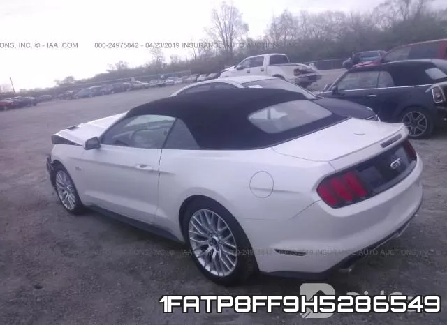 1FATP8FF9H5286549_3.webp