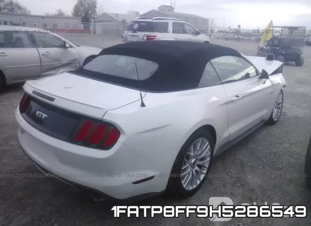 1FATP8FF9H5286549_4.webp
