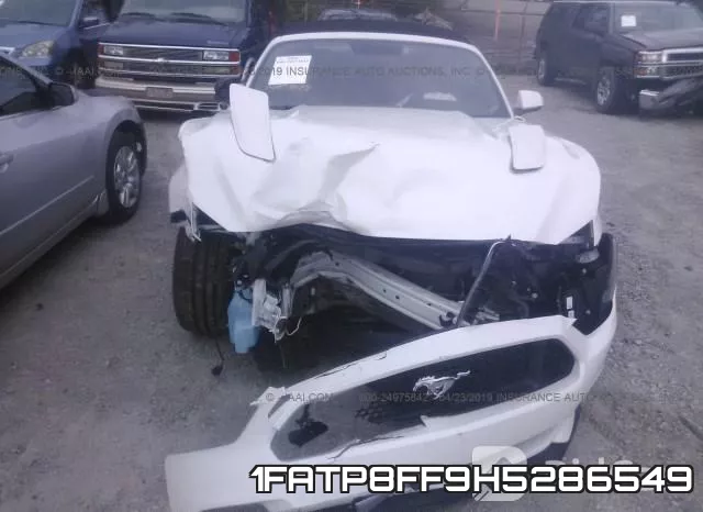 1FATP8FF9H5286549_6.webp