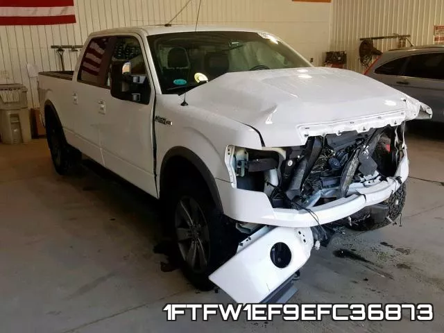 1FTFW1EF9EFC36873