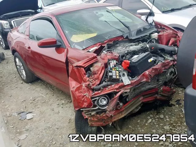1ZVBP8AM0E5247854