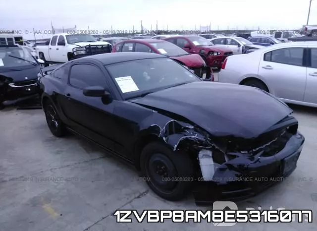 1ZVBP8AM8E5316077