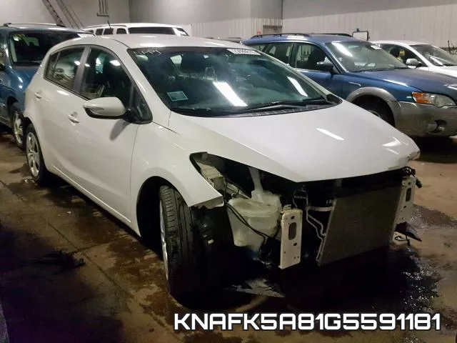 KNAFK5A81G5591181