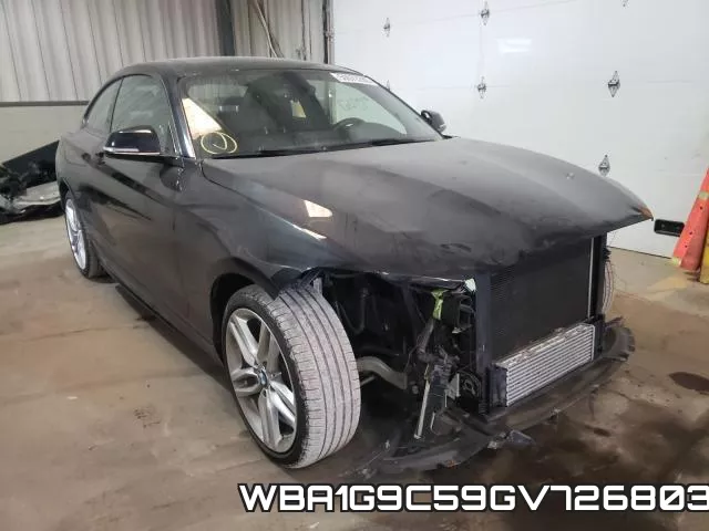 WBA1G9C59GV726803
