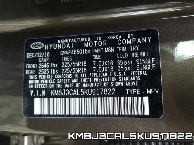 KM8J3CAL5KU917822_10.webp