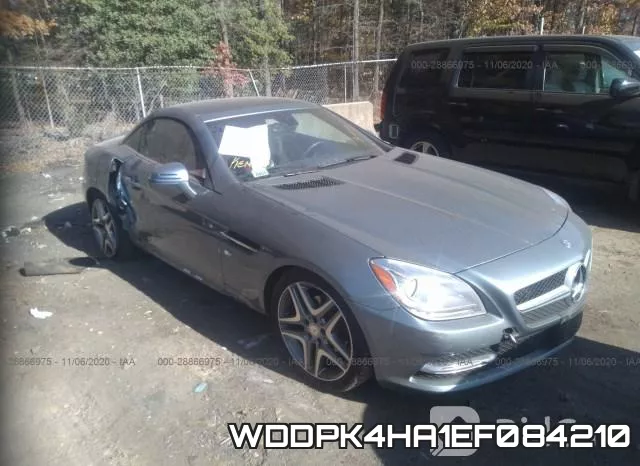 WDDPK4HA1EF084210