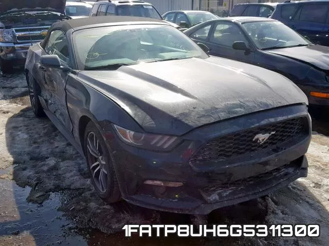 1FATP8UH6G5311300