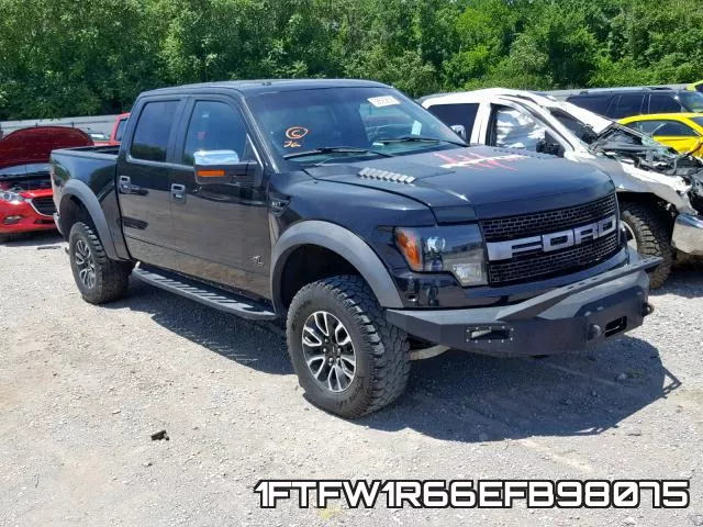 1FTFW1R66EFB98075