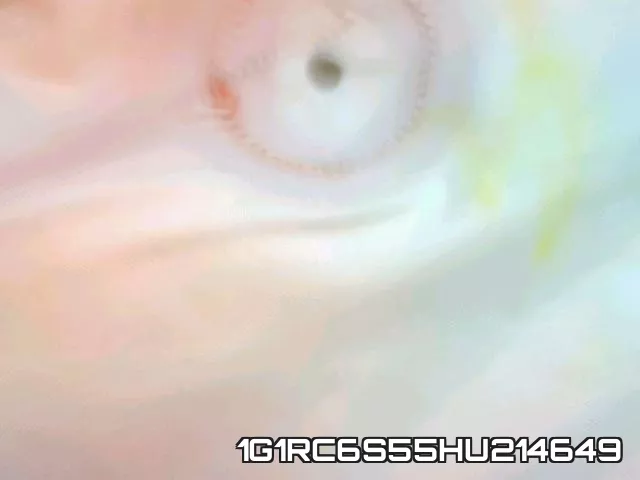 1G1RC6S55HU214649_6.webp