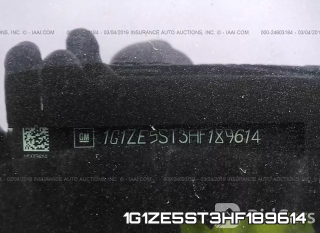 1G1ZE5ST3HF189614_9.webp