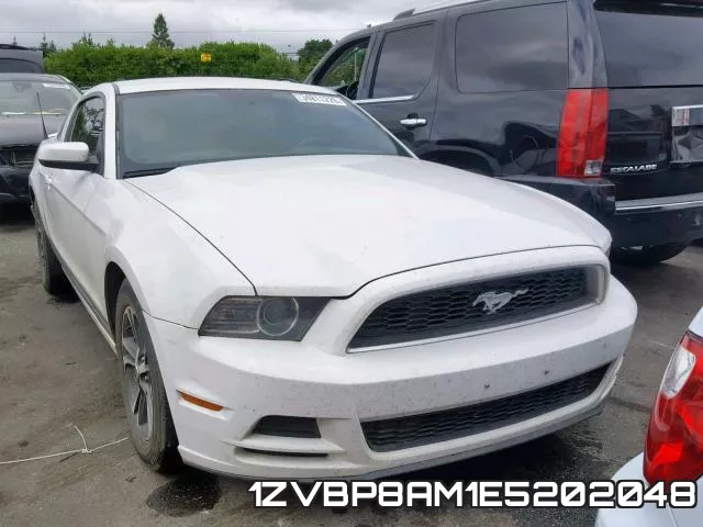 1ZVBP8AM1E5202048