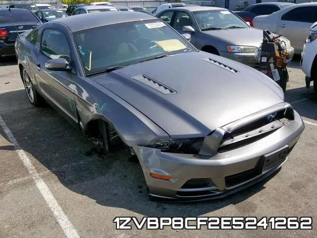 1ZVBP8CF2E5241262