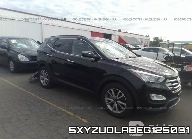5XYZUDLA8EG125031
