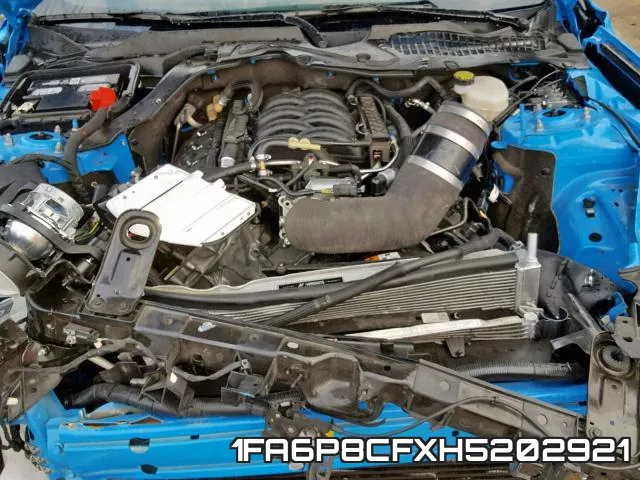 1FA6P8CFXH5202921_7.webp