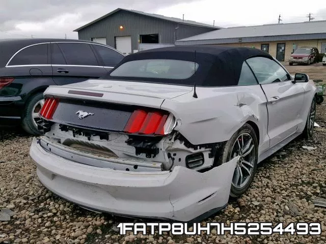 1FATP8UH7H5254493_4.webp