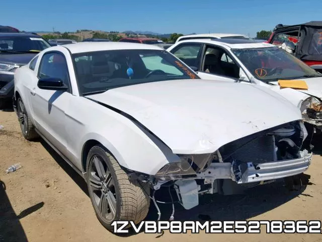 1ZVBP8AM2E5278362