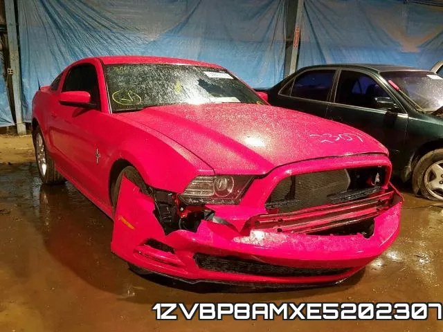 1ZVBP8AMXE5202307