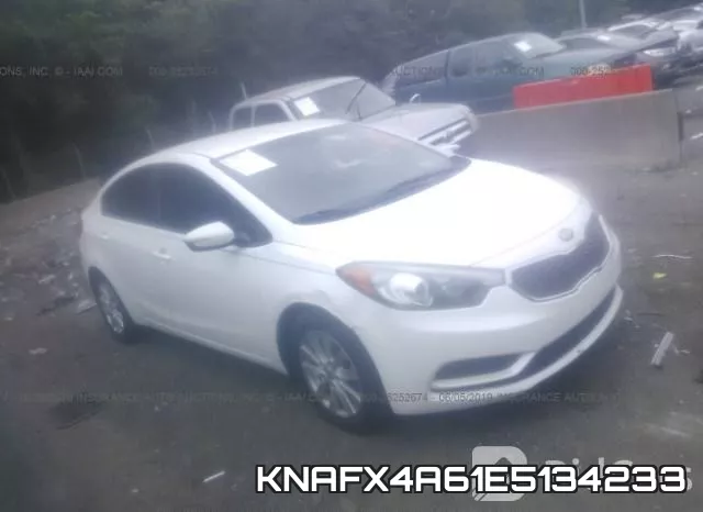 KNAFX4A61E5134233