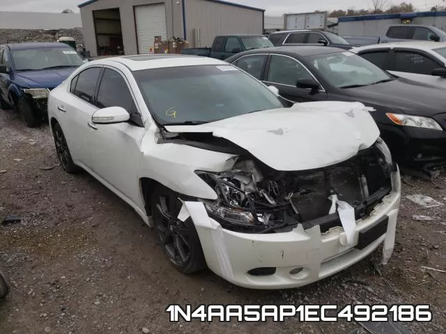 1N4AA5AP1EC492186