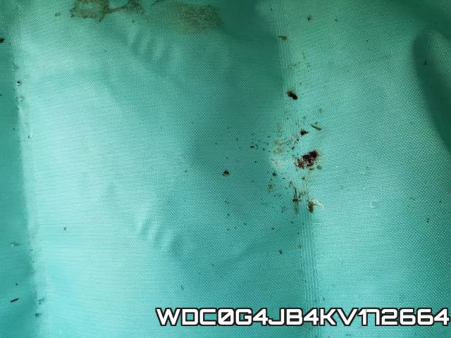 WDC0G4JB4KV172664_9.webp