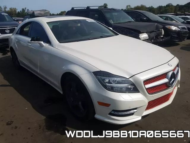 WDDLJ9BB1DA065667