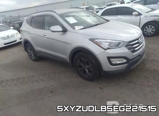 5XYZUDLB5EG221515