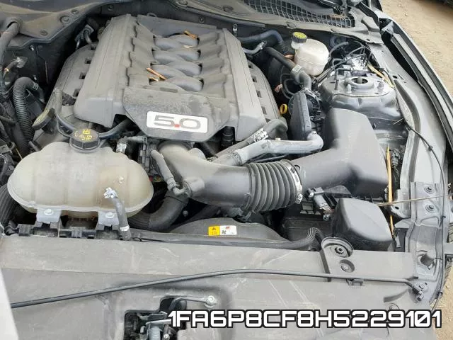1FA6P8CF8H5229101_7.webp