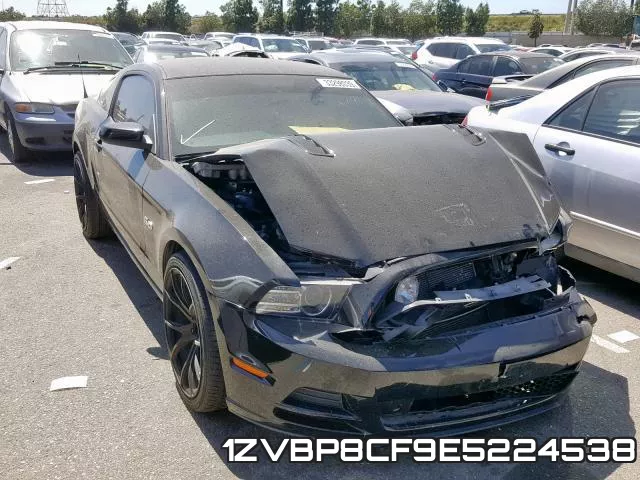 1ZVBP8CF9E5224538