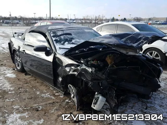 1ZVBP8EM1E5213304