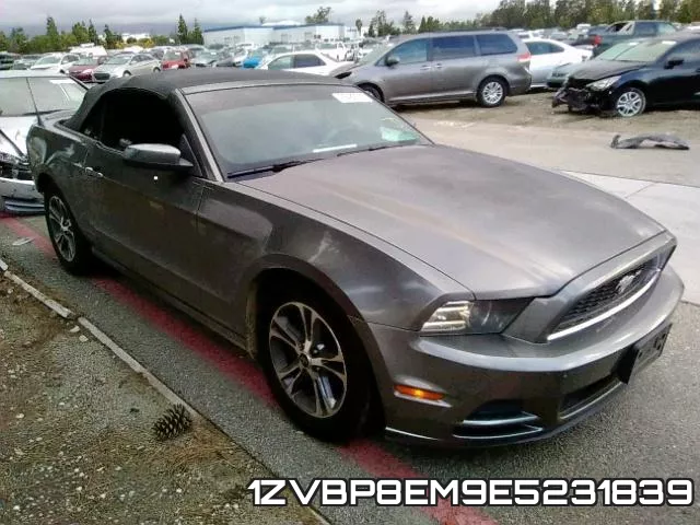 1ZVBP8EM9E5231839