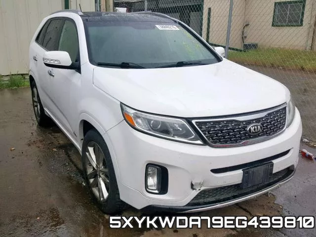 5XYKWDA79EG439810