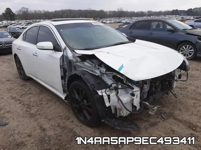 1N4AA5AP9EC493411