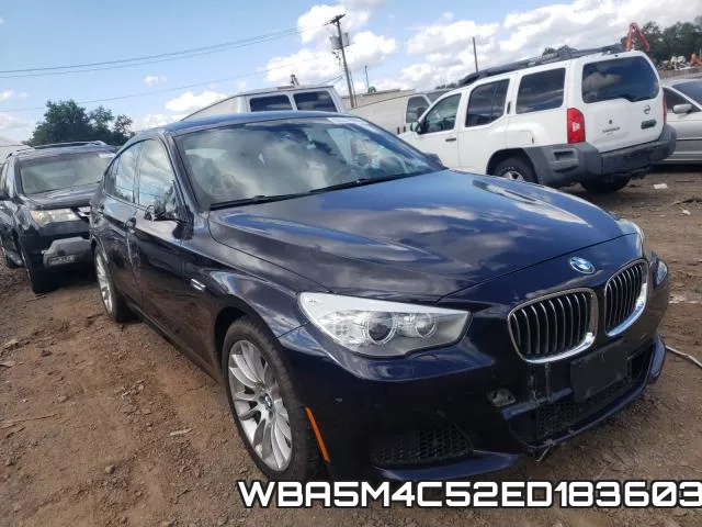 WBA5M4C52ED183603