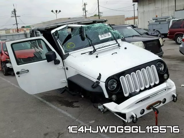 1C4HJWDG9GL113576