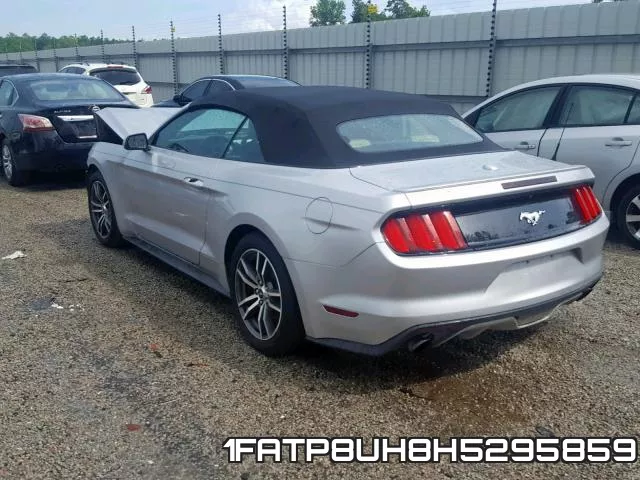 1FATP8UH8H5295859_3.webp