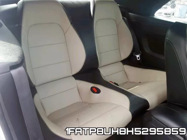 1FATP8UH8H5295859_6.webp