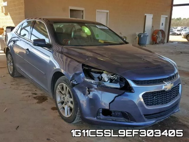 1G11C5SL9EF303405