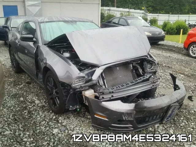 1ZVBP8AM4E5324161