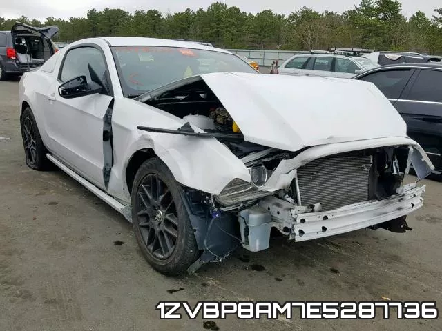 1ZVBP8AM7E5287736