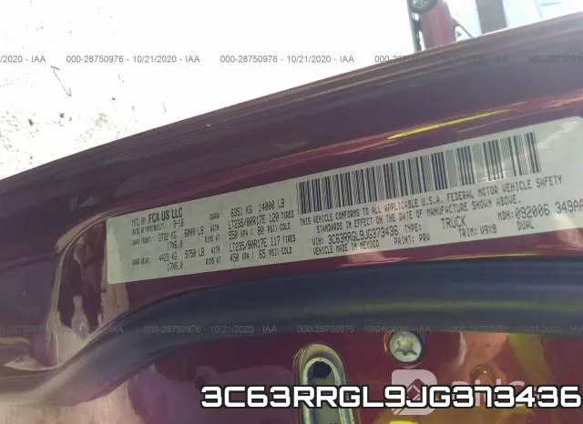 3C63RRGL9JG373436_9.webp